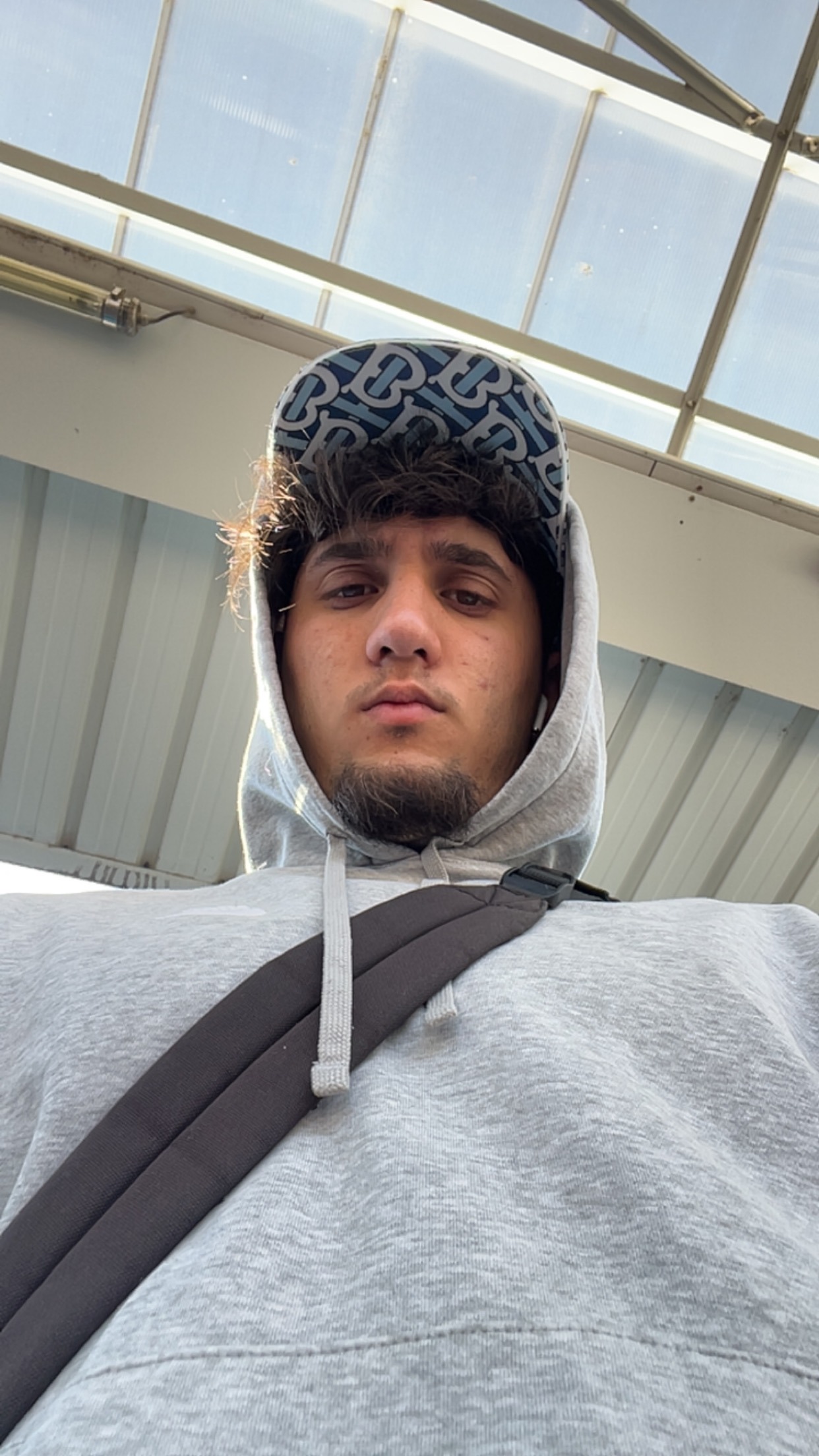 Profil von Loris